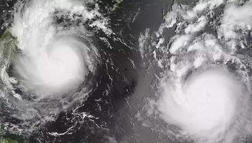 大风新闻爆料最新消息,最新事件进展揭秘  第2张