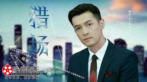 老九爆料茶叶视频大全,茶叶世界大揭秘